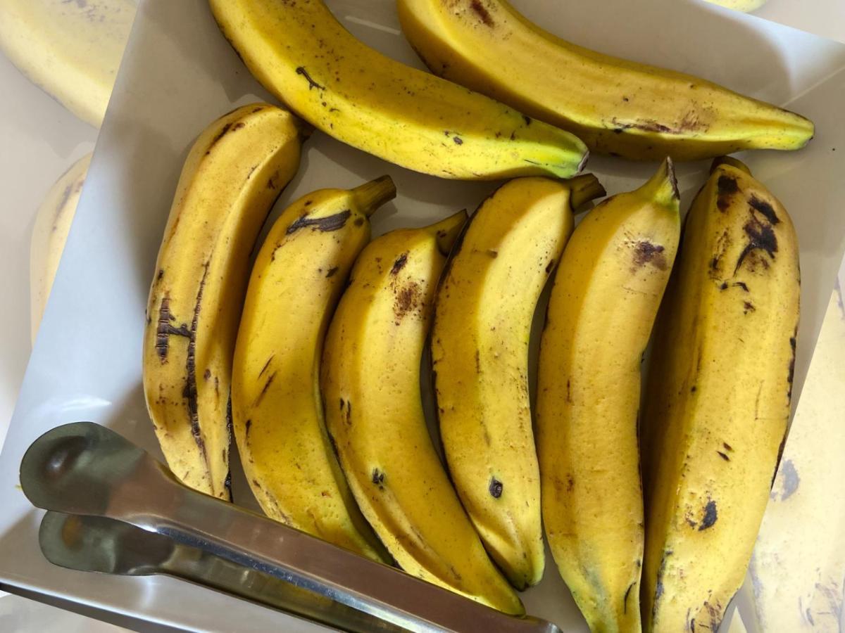 Pousada Ricアチンス エクステリア 写真